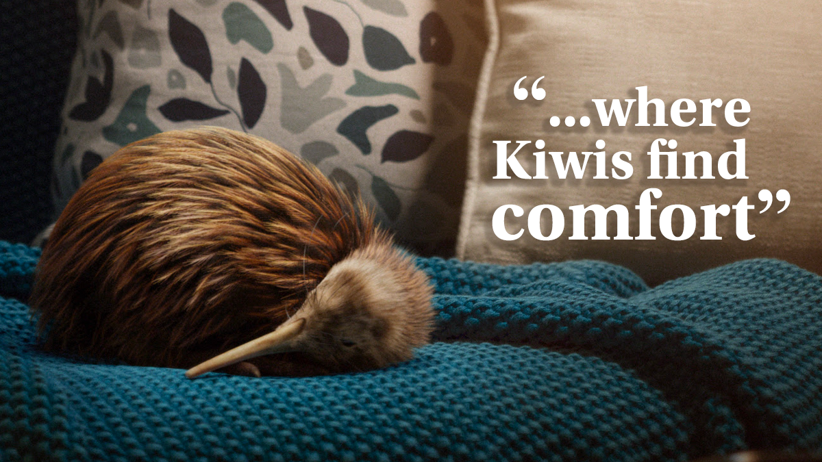 Comfort kiwi FB cover